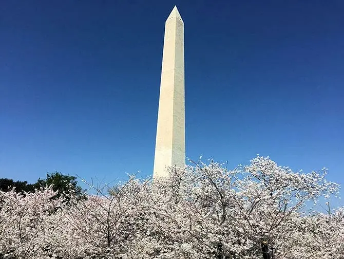 纽约至华盛顿巴士之旅 - 纪念碑