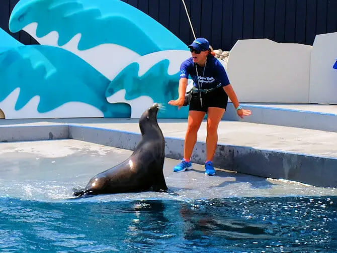 纽约水族馆 - 喂食时间