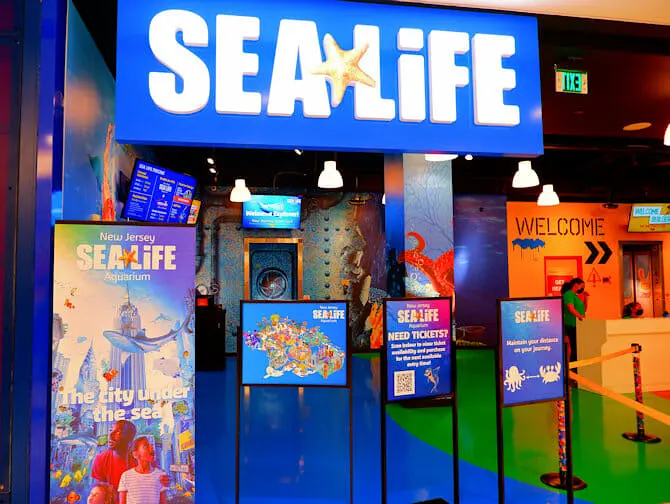 纽约附近的American Dream Mall - SEA LIFE水族馆