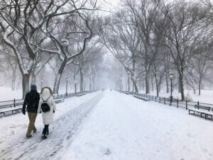纽约的雪季