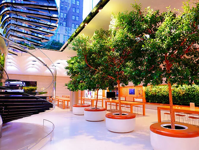 纽约Apple Store - 第五大道